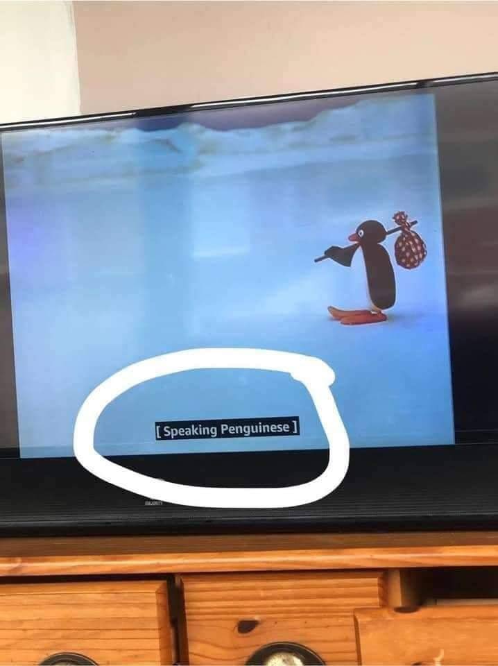 💖 (@twaniimals) on Twitter photo 