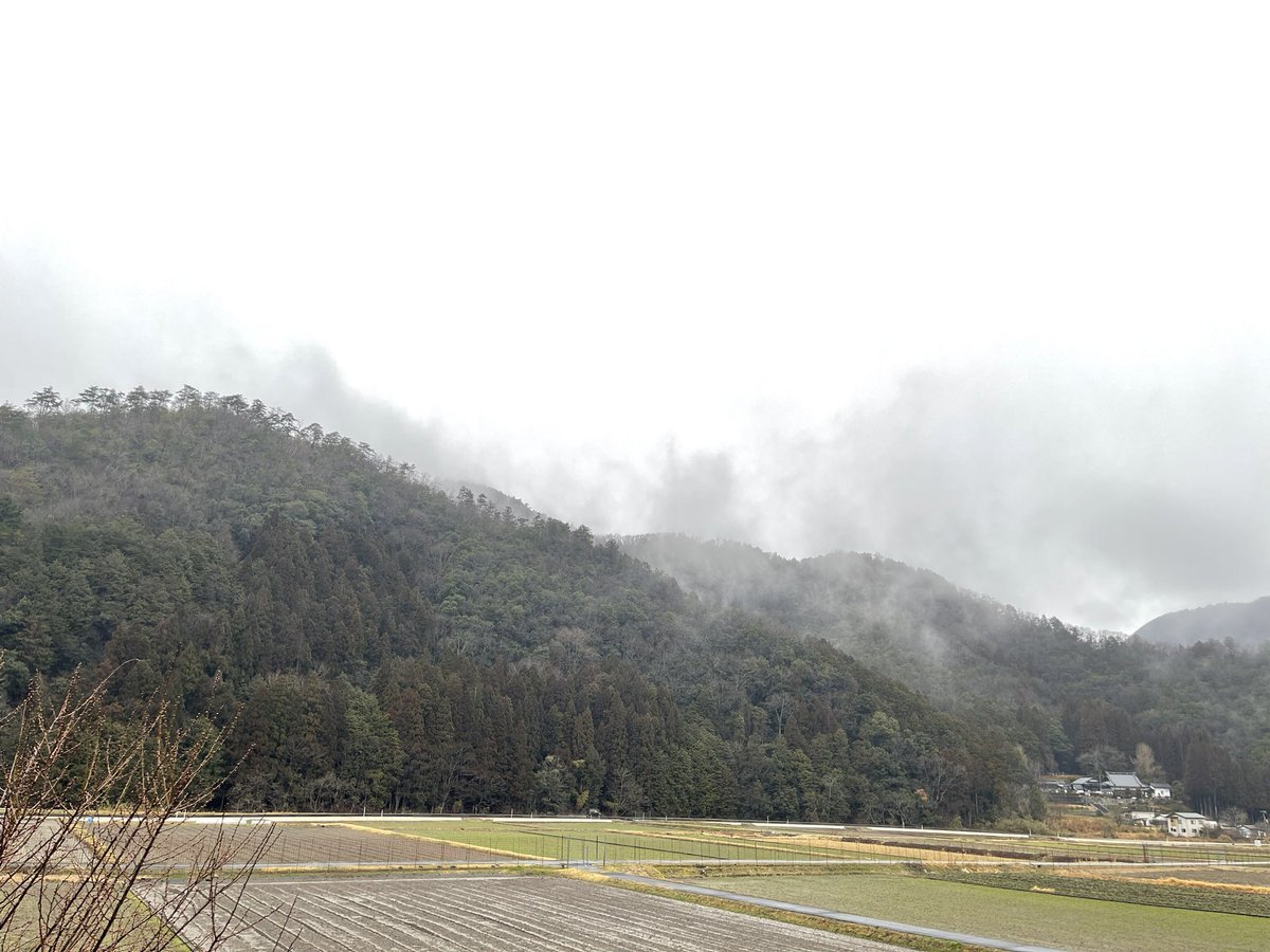 おはようございます。
今朝も相変わらずの雨空ですが、気づけば、春眠暁を覚えずな朝になってきました。気持ちの良い寝起きです。

#田舎の景色　
#イマソラ 
#早朝の風景　
#田舎の景色が好き　
#早朝の空気が好き　
#朝の山　
#養父市の出版社
#白兎舎　
#ひとり出版社