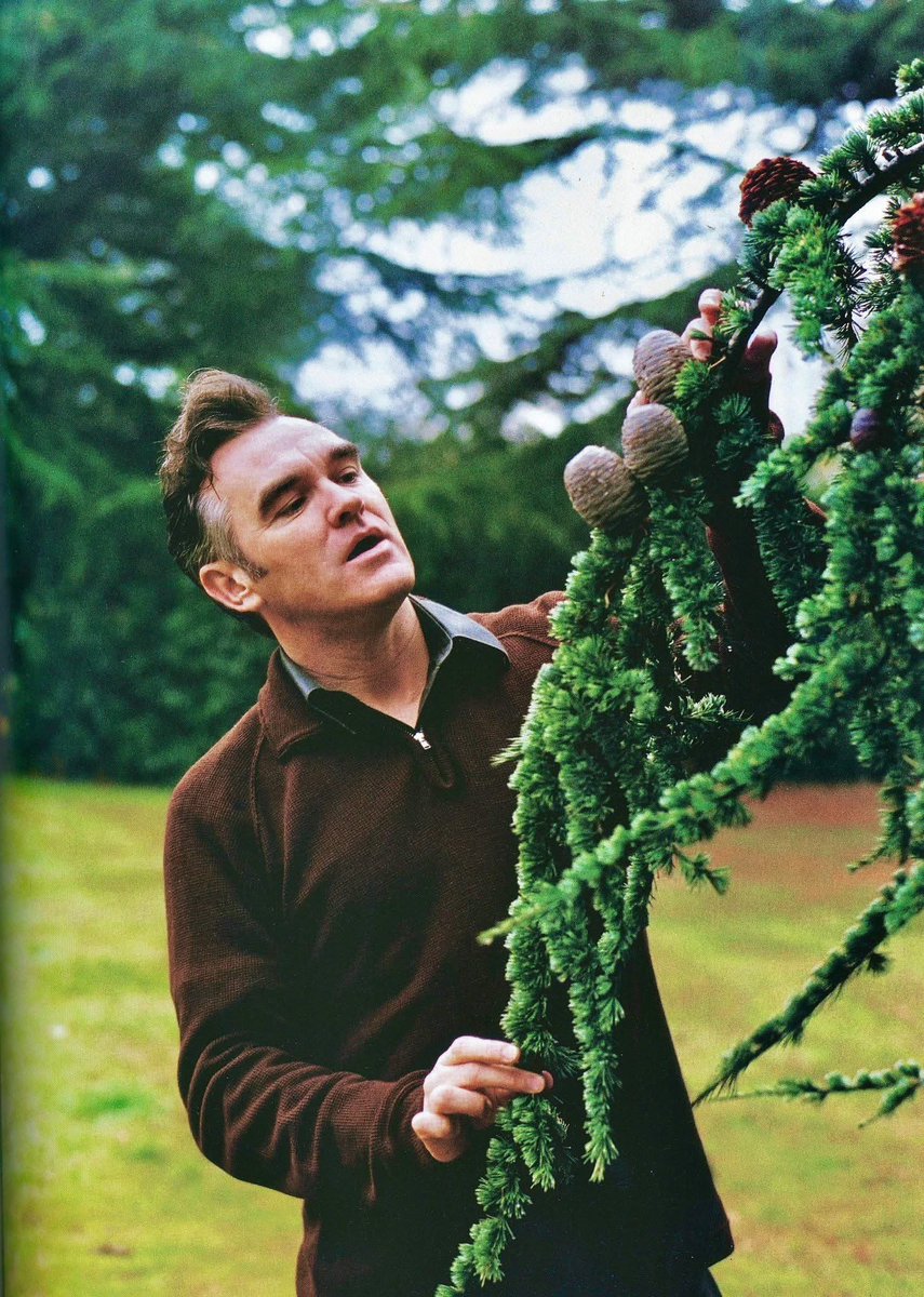 morrissey pics every day tweet media