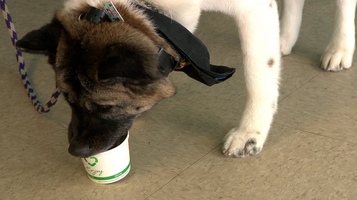 NH Chronicle tweet media