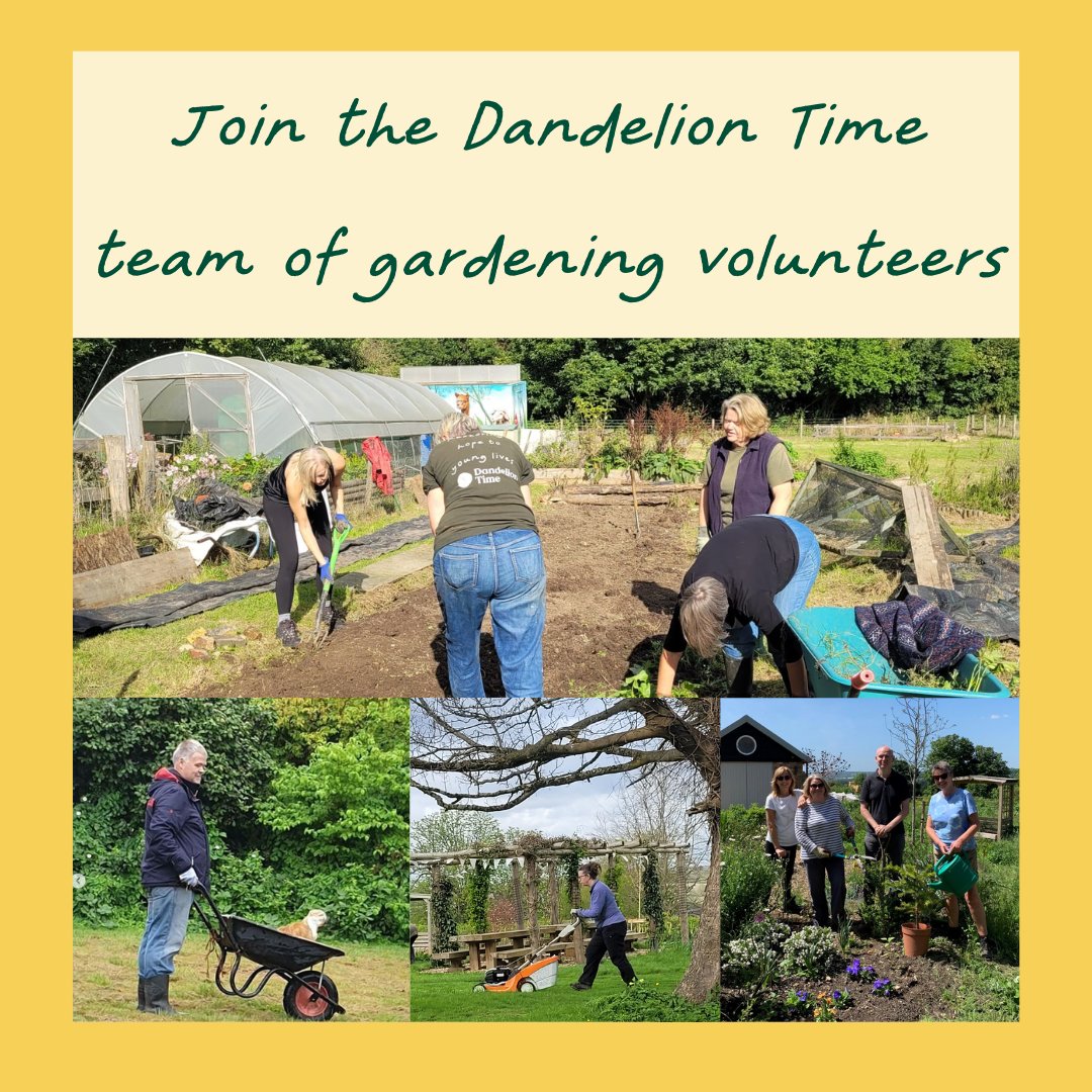 🥕 Are you experienced in no-dig or polytunnel gardening and have a few hours to spare each week?

🥦 We're seeking enthusiastic gardeners to join our friendly volunteer team at our West Farleigh site.

✉️ For more details, please email alisonbrown@dandeliontime.org.uk