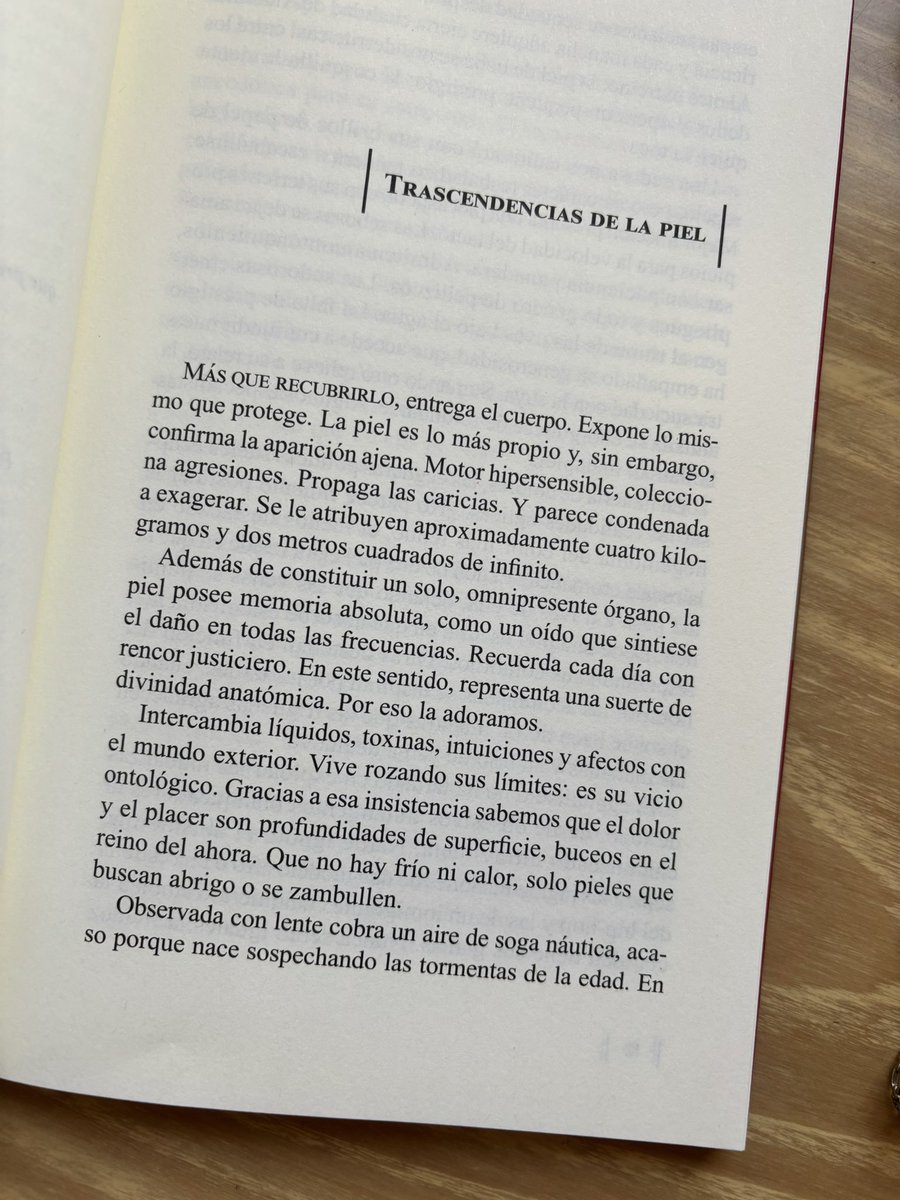 anatomía sensible y lesbiana
