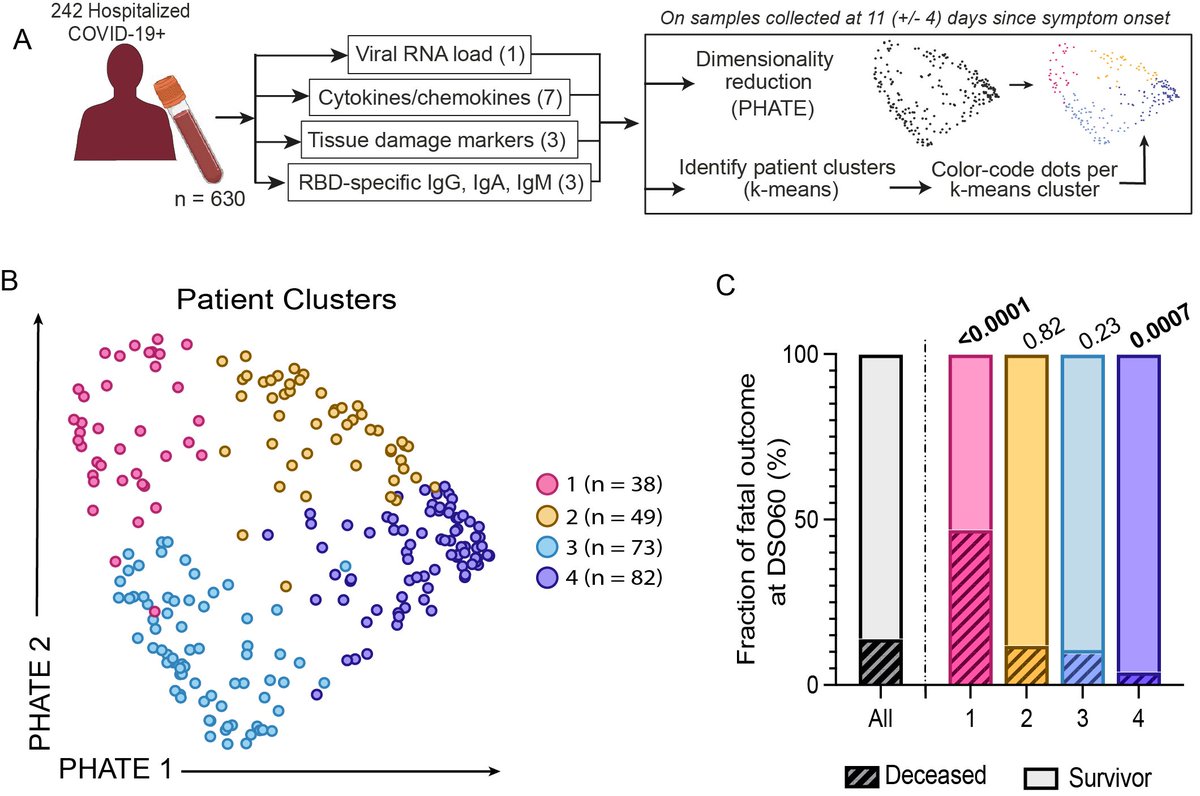 Mila - Institut québécois d'IA (@mila_quebec) on Twitter photo Why do some COVID-19 patients fare worse than others? <a href="/SachMorin/">Sacha Morin</a>’s team used AI to study 300 hospitalized patients and understand how specific markers related to their immune response and the infection affected the clinical outcome. Read his blog post: mila.quebec/en/article/exp… Why do some COVID-19 patients fare worse than others? <a href="/SachMorin/">Sacha Morin</a>’s team used AI to study 300 hospitalized patients and understand how specific markers related to their immune response and the infection affected the clinical outcome. Read his blog post: mila.quebec/en/article/exp…