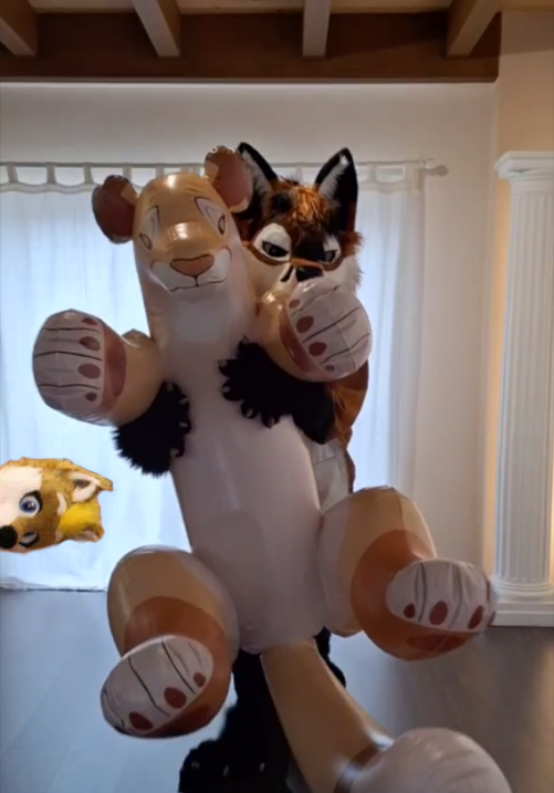 CollieToyInsp's tweet image. Wait, how did that happen?