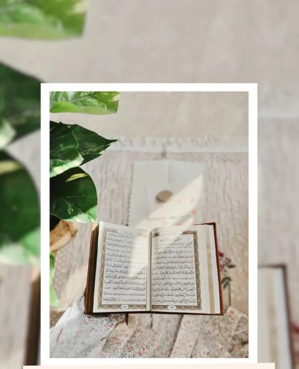 رمضان ماه تمرین است، تمرین عشق، تمرین اراده، تمرین گذشتن از خویش برای رسیدن به معشوق🥹🩷
#ماه_امید
#ماه_بهشت