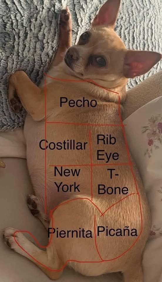 ¿De cuál le damos?