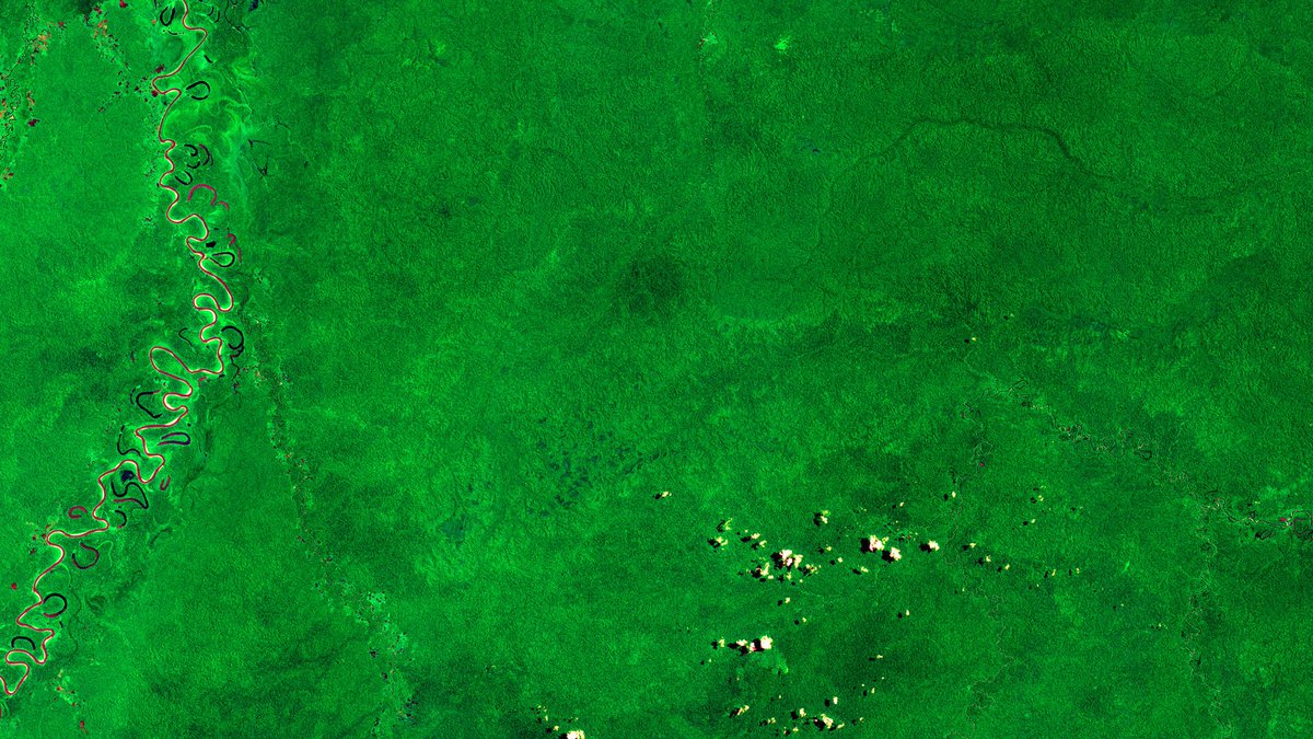 iDiv Biodiversity Research tweet media