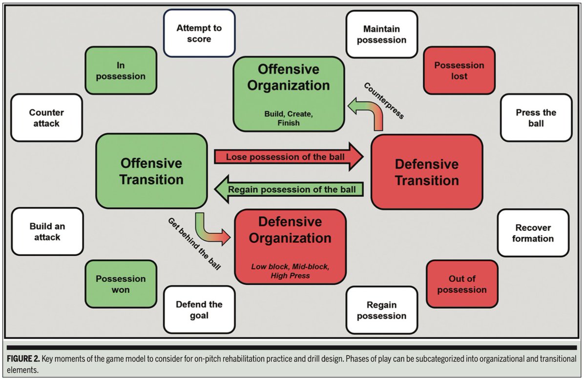 🏟️ El modelo de juego como base:

El retorno al deporte debe replicar las demandas tácticas y físicas de la competición. Integrar patrones de juego, roles específicos y toma de decisiones mejora la transferencia al deporte.