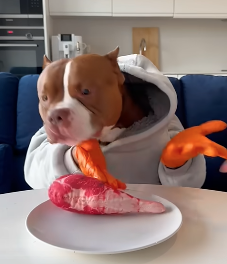 Gestures!  
An offbeat and hilarious way to teach students about effective hand gestures: youtube.com/watch?v=b8mQvE…  You DO teach gestures, don't you? You wouldn't put something on your rubric you never taught, right?