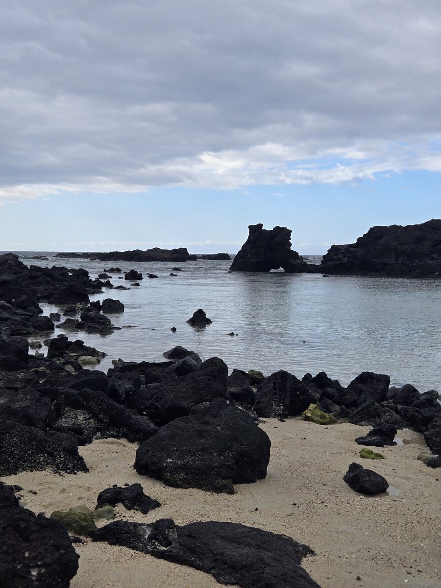 jeffyschmidt's tweet photo. @LFCUSA Up The Reds!  From the Big Island! https://t.co/94uEgP2izh