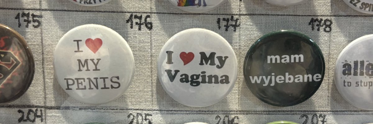 cycitto's tweet image. he/him, she/her i they/them