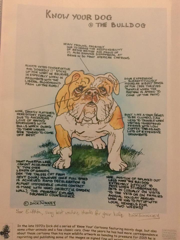 collectibulldog's tweet photo. We 💗#Buldogs
...... I'm https://t.co/i9XSKYO4z1
