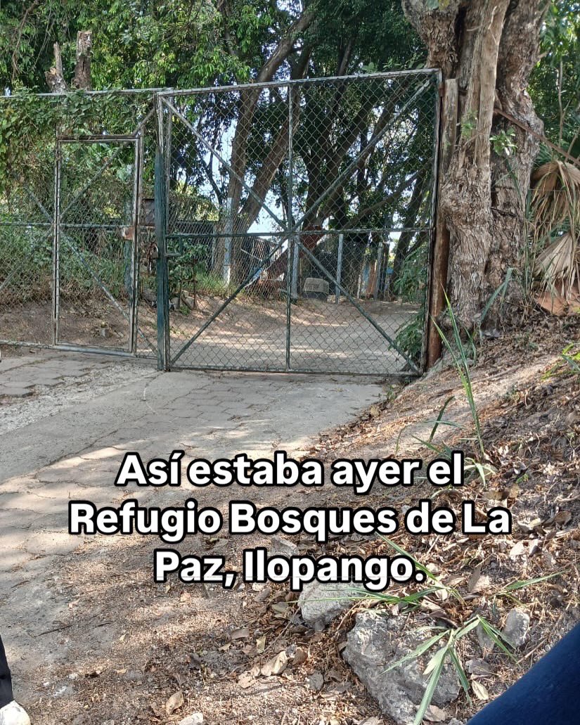 DameTuPatasv's tweet photo. El que nada debe nada teme.

El día de ayer por la mañana no estaba cubierto, al ver la indignación de las personas, ayer mismo por órdenes de alguien más emperador a tapar todo con láminas y plástico para evitar la visibilidad de los perritos del Refugio Bosques de La Paz, Ilopango.