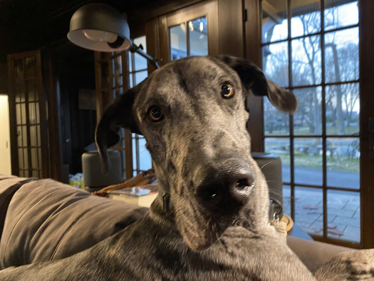 Enginerd32 tweet media