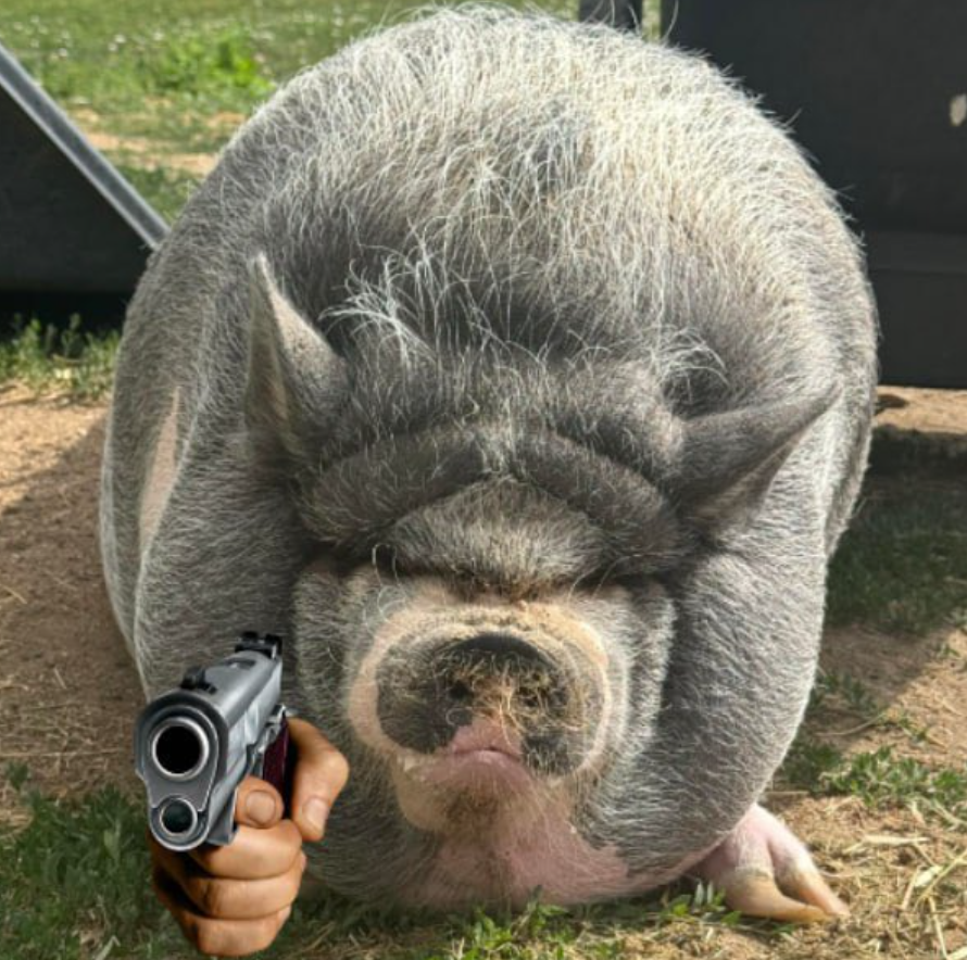 NikePig_ADA's tweet photo. Nike wif gun. You better run.

#NikePig https://t.co/WWmnREVFsy