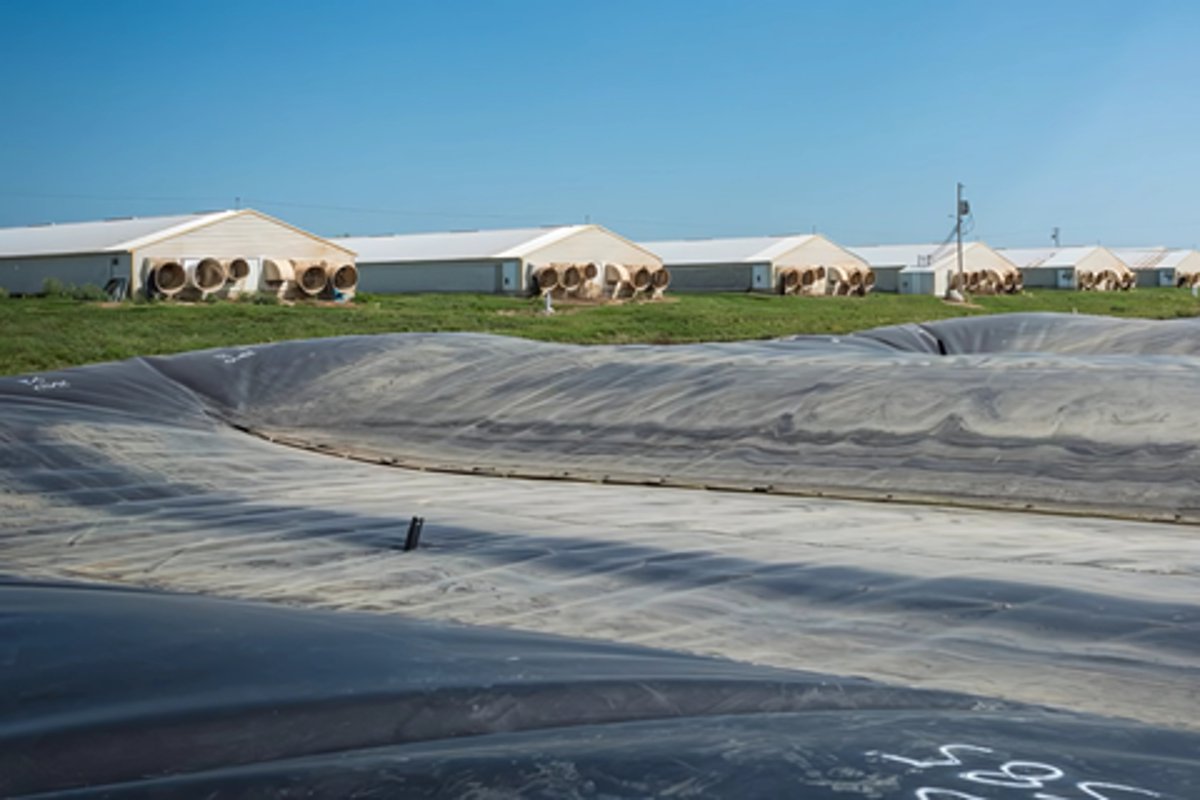 Beginning March 11th at 1 pm CT, we're back with a monthly anaerobic digestion webinar series. Next month, Scott Martin, with Burns &amp; McDonnell, will share implementation case studies from anaerobic digestion projects.
For more info and too register: extension.iastate.edu/news/anaerobic…