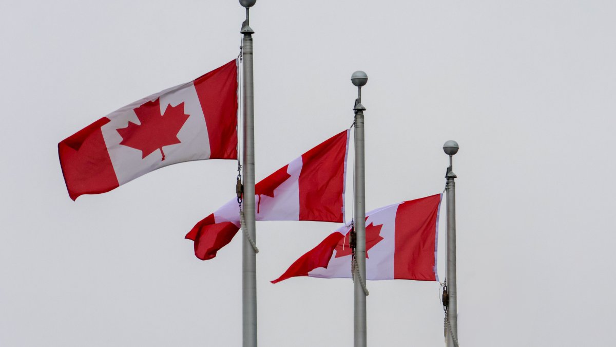 There’s no place like Canada! The Canadian flag is flying high at City Hall on 7 of our 8 flag poles. Let’s celebrate national pride, our unique Canadian identity, our values, our diversity, and the true north, strong and free! We choose Canada ❤️🤍 #ElbowsUp