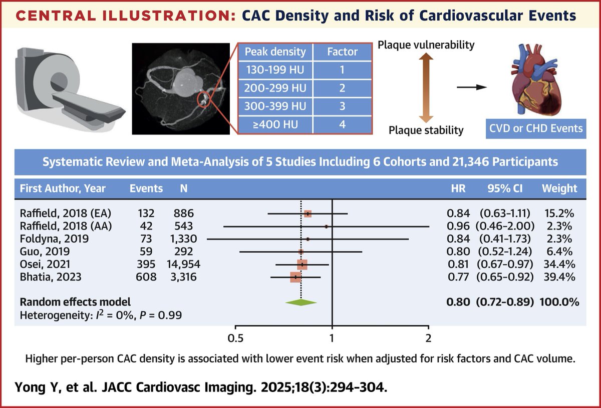 JACC Journals (@jaccjournals) on Twitter photo Higher density, lower risk #cvCAD plaque? Higher #CAC density confers a lower risk of future #CVD events with a ~20% lower risk for each standard deviation increase in density in this systemic review and meta-analysis jacc.org/doi/10.1016/j.…
#YesCCT #JACCIMG <a href="/DrAndrewLin/">Andrew Lin</a> Higher density, lower risk #cvCAD plaque? Higher #CAC density confers a lower risk of future #CVD events with a ~20% lower risk for each standard deviation increase in density in this systemic review and meta-analysis jacc.org/doi/10.1016/j.…
#YesCCT #JACCIMG <a href="/DrAndrewLin/">Andrew Lin</a>