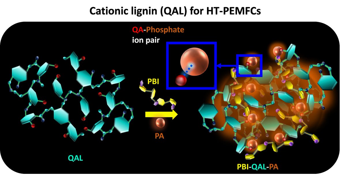 Shudipto Dishari (@konikadishari) on Twitter photo Happy to share our latest work published at the <a href="/ACSSustainable/">ACS Sustainable Journals</a> #Chemistry & #Engineering! We introduce a groundbreaking ion-pair high-temperature #polymer #electrolyte #membrane using #lignin, a #sustainable and #eco-friendly polymer, showing remarkably high proton Happy to share our latest work published at the <a href="/ACSSustainable/">ACS Sustainable Journals</a> #Chemistry & #Engineering! We introduce a groundbreaking ion-pair high-temperature #polymer #electrolyte #membrane using #lignin, a #sustainable and #eco-friendly polymer, showing remarkably high proton