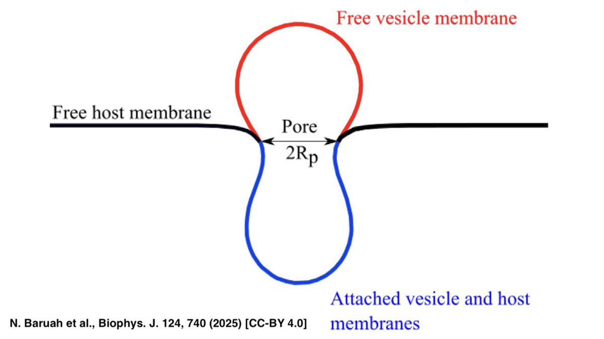 Thorsten Auth tweet media