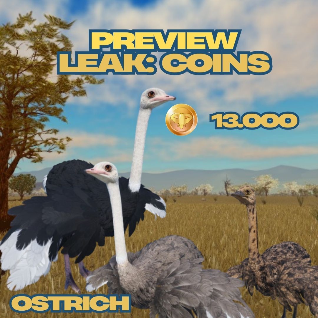 NOYO_Production's tweet image. 💰Ostrich Coins Leak! 🏃‍♂️🪶✨
We’ve got an exclusive sneak peek for you… The Ostrich will cost 13,000 coins in Savannah Life! 🌍🔥 Start saving up now so you’re ready to unlock this fast and unique creature on Friday, March 7! 🚀
#SavannahLife #Roblox #NOYOProductions