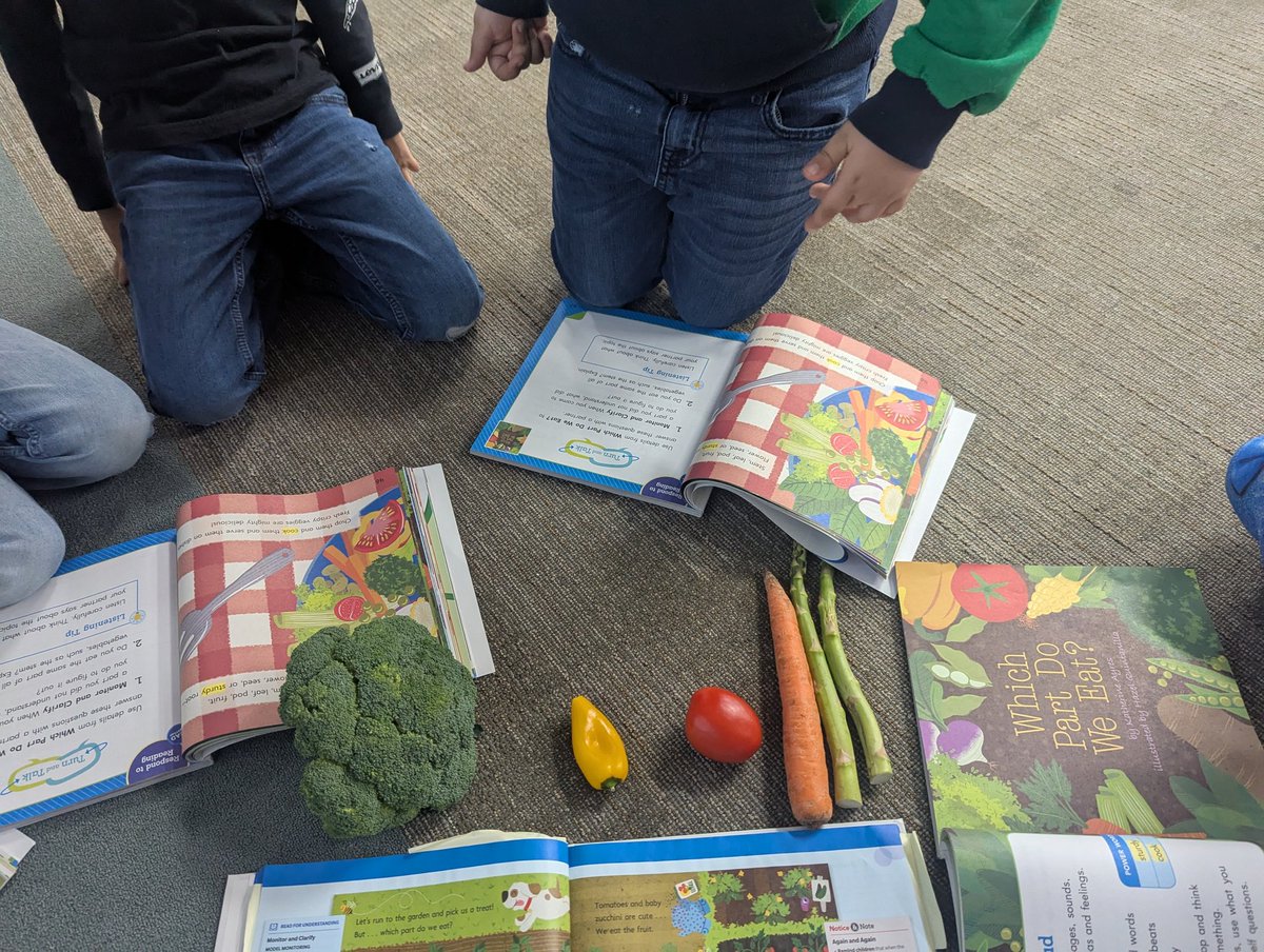 Xochitl San Miguel tweet media