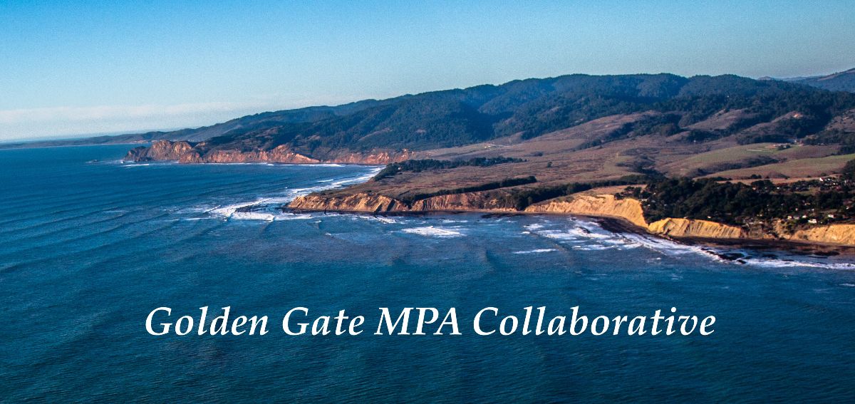 Golden Gate Marine Protected Area Updates and Meetings, 2025 - mailchi.mp/sharkstewards.…
