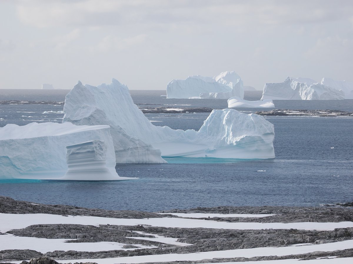 iviromics (@iviromics) on Twitter photo Desde una de las islas que visitamos la Antártida nos regala la vista de multitud de icebergs con formas muy variadas <a href="/CSIC/">CSIC</a> <a href="/CBM_CSIC_UAM/">Centro de Biología Molecular Severo Ochoa</a> <a href="/UNESPA/">UNESPA</a> <a href="/FGCSIC/">Fundación General CSIC</a> Desde una de las islas que visitamos la Antártida nos regala la vista de multitud de icebergs con formas muy variadas <a href="/CSIC/">CSIC</a> <a href="/CBM_CSIC_UAM/">Centro de Biología Molecular Severo Ochoa</a> <a href="/UNESPA/">UNESPA</a> <a href="/FGCSIC/">Fundación General CSIC</a>
