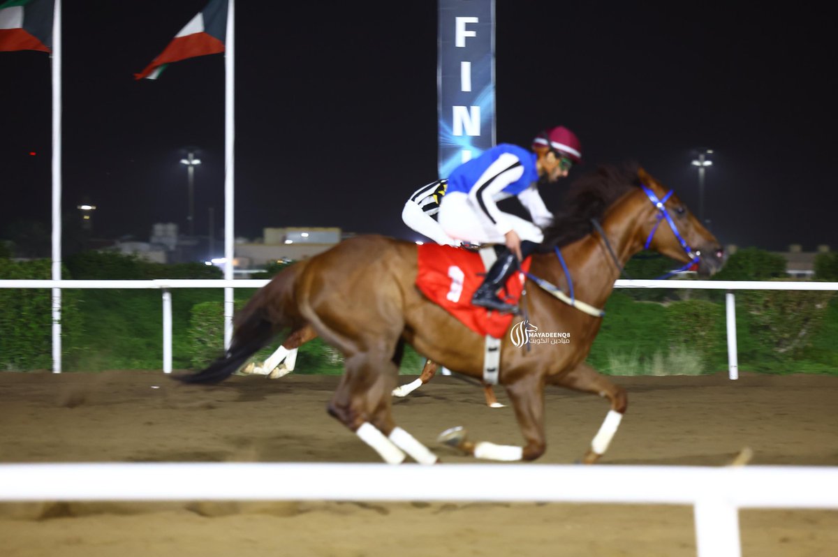 مضمار الشيخ صباح الناصر الصباح tweet media