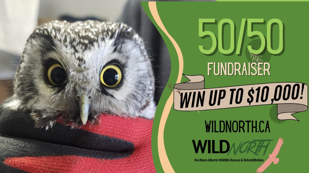 WILDNorth tweet media