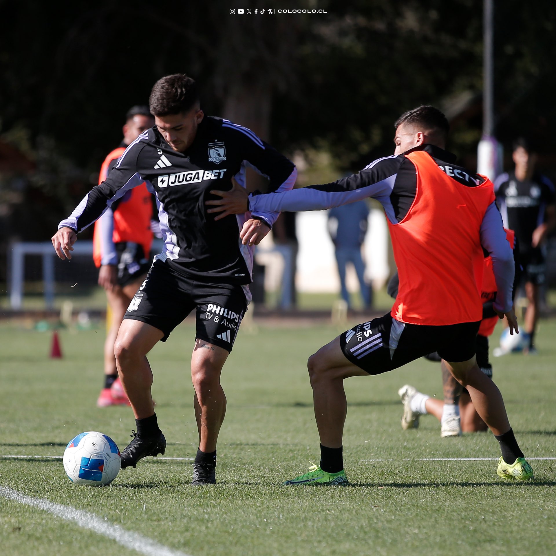 FOTO: COLO-COLO.CL 