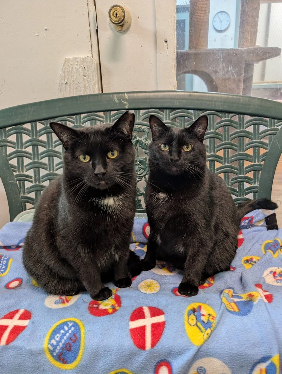 Is it giving The Shining?