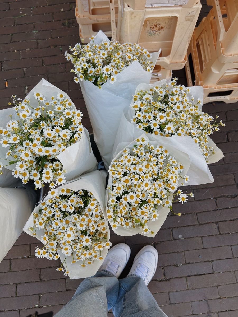 daisy bouquets 🌼