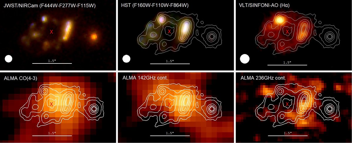 Jwst Feed tweet media