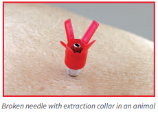 🚨 Are you a hog producer looking for Ideal D3X needles? 🚨 We stock them at Farmers Depot! 
D3X needles give you added peace of mind with their highly visible extraction collar where "X" marks the spot if the needle breaks off the hub. 
Order today! bit.ly/41MLSPN
