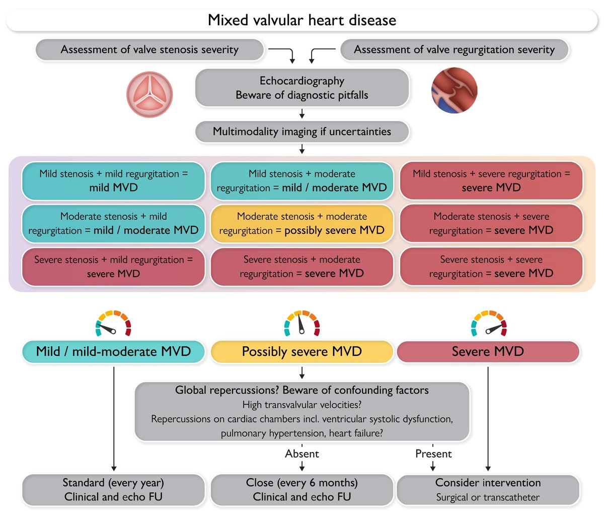 The Heart (@zheart11768530) on Twitter photo 🔴Mixed valvular heart disease: diagnosis and management ⤵️ State of the Art #2025Review <a href="/ESC_Journals/">European Society of Cardiology Journals</a>
🔹academic.oup.com/eurheartj/adva…
#Cardiology #FOAMed #MedEd #medstudent #paramedic #Cardiology #CardioEd #medtwitter #meded #CardioTwitter #cardiotwiteros #MedX 🔴Mixed valvular heart disease: diagnosis and management ⤵️ State of the Art #2025Review <a href="/ESC_Journals/">European Society of Cardiology Journals</a>
🔹academic.oup.com/eurheartj/adva…
#Cardiology #FOAMed #MedEd #medstudent #paramedic #Cardiology #CardioEd #medtwitter #meded #CardioTwitter #cardiotwiteros #MedX