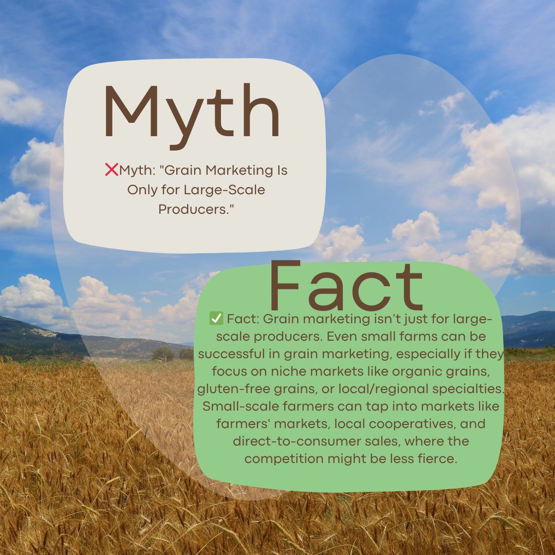 Exceed Grain Marketing (@exceedgrain) on Twitter photo Grain Marketing Myth Vs. Fact
Let us guide you through the ups and downs of the grain market.
Exceedgrainmarketing@outlook.com
exceedgrainmarketing.com
#GrainMarketingMyths #FarmersFirst #MarketTruths #SmartFarming #ExceedExpectations Grain Marketing Myth Vs. Fact
Let us guide you through the ups and downs of the grain market.
Exceedgrainmarketing@outlook.com
exceedgrainmarketing.com
#GrainMarketingMyths #FarmersFirst #MarketTruths #SmartFarming #ExceedExpectations