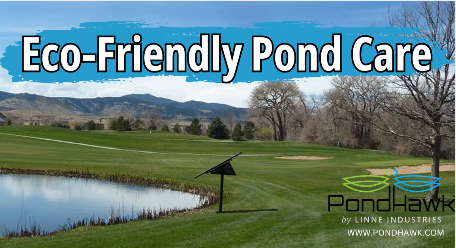 SolarPondHawk's tweet image. Boost water quality and cut odors naturally with PondHawk! #StormwaterSolutions #pondaerators #greenkeeping #greenkeeper #golfmanagement #ngcoa #gcsaa #hoamanagement #golfcoursesuperintendent
social.pondhawk.com/RDfu