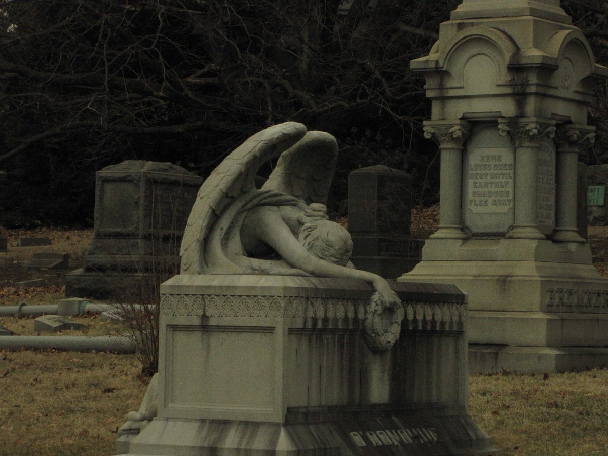 vin (@02void) on Twitter photo 