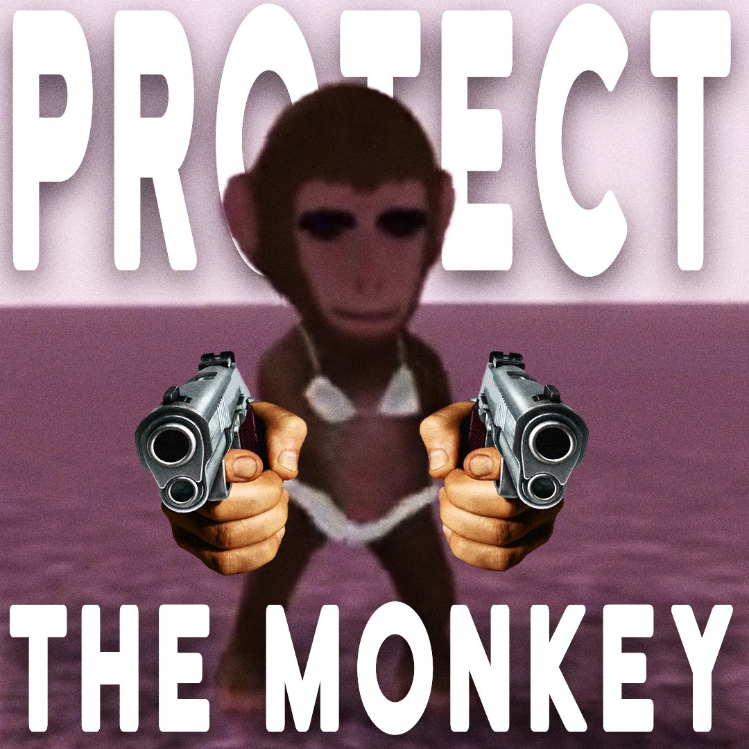 antonmonkeysol's tweet photo. Protect The Monkey. 

$ANTON https://t.co/fYryWktBf1