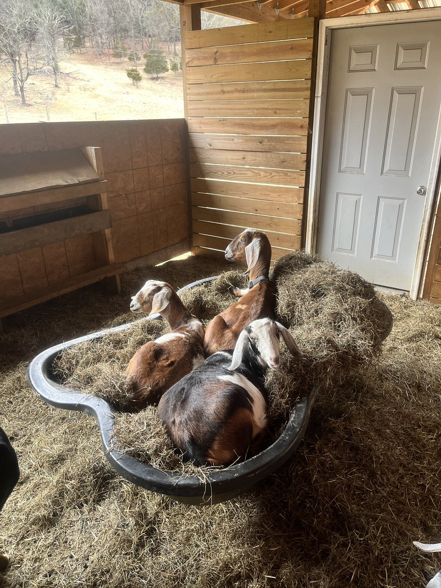 <a href="/Cimarron_Ranch/">Cimarron Ranch - 1776</a> Some people would see a plastic garden pond