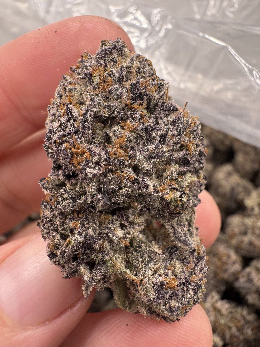 Acapulco gold 💚

#420friendly #CannabisCommunity #420community #420memes #weedgirl