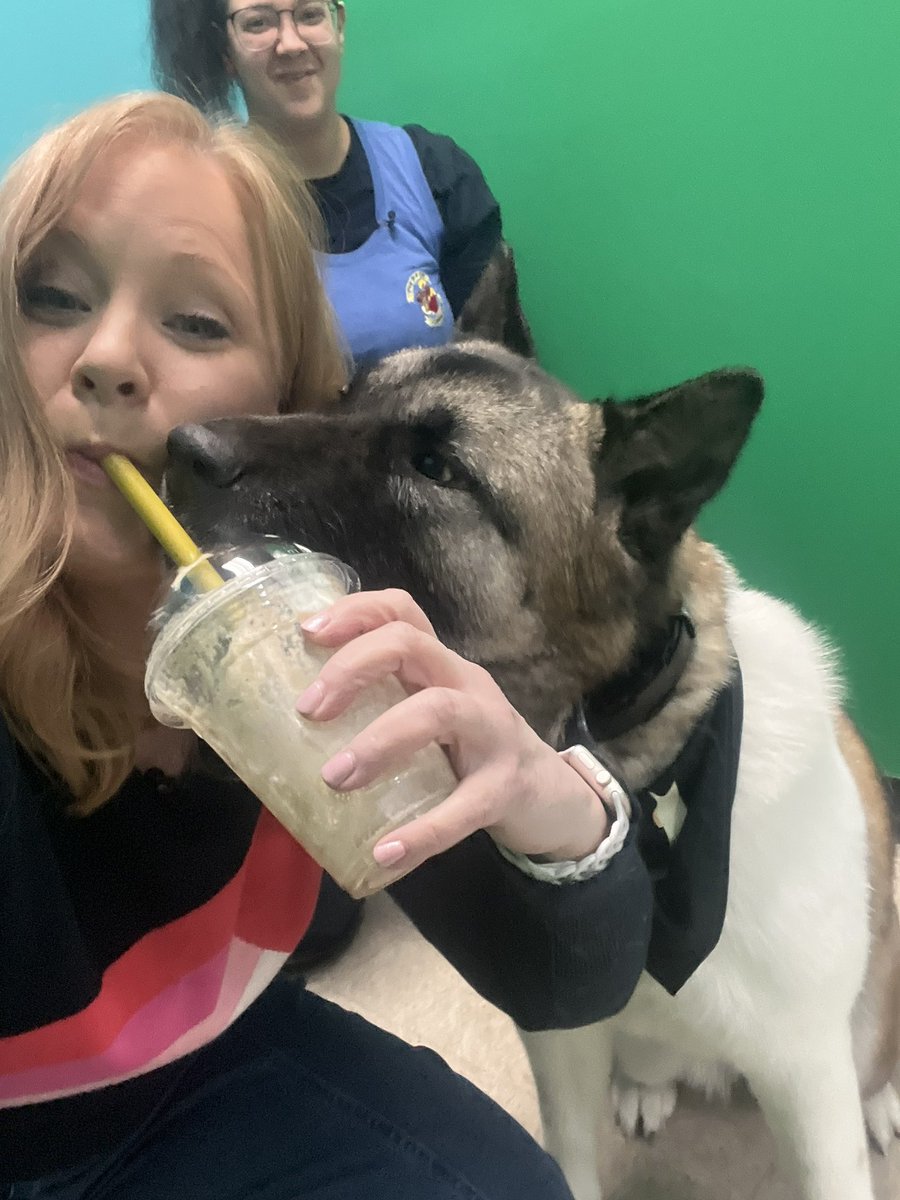 Jean Mackin tweet media