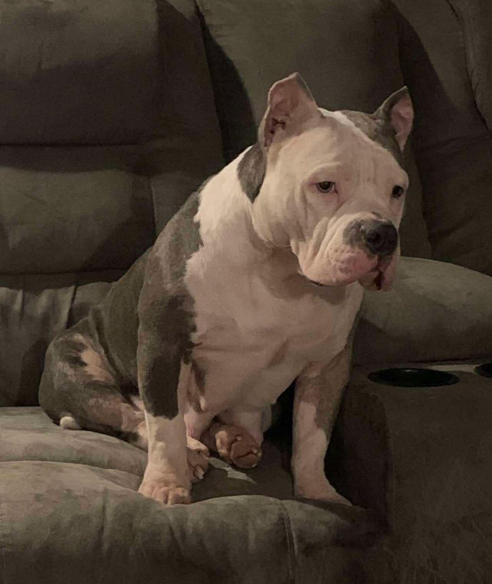 ReignPBK's tweet image. What is the best way to gain more follows and views on X? 
#follow #Views #x