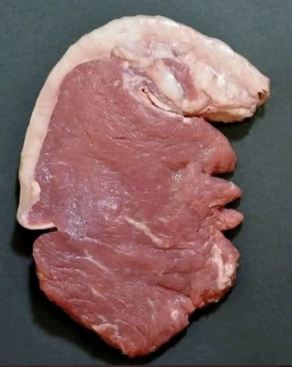 FlamesFlocka's tweet image. POTUS