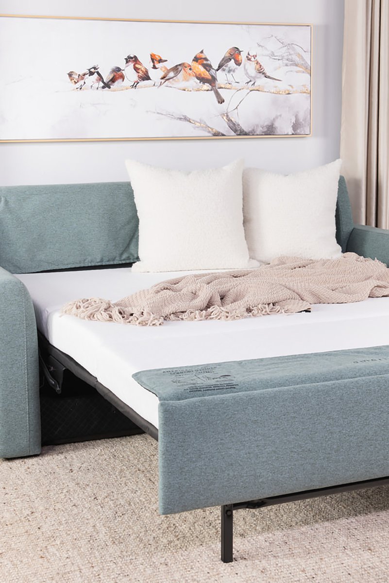 Gabberts's tweet image. Buyer&apos;s Pick: This week’s Buyer’s Pick is the Clara Queen Comfort Sleeper by American Leather. 
bit.ly/41nRm2S
#gabberts #gabbertsfurniture #buyerspick #sofa #americanleather