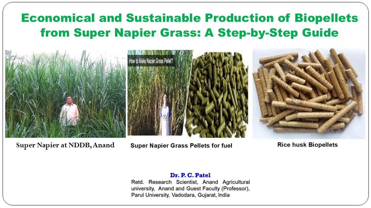 Economical and Sustainable Production of Biopellets from Super Napier Grass: A Step-by-Step Guide- Dr P. C. Patel
youtu.be/s1QTqN-qNDQ