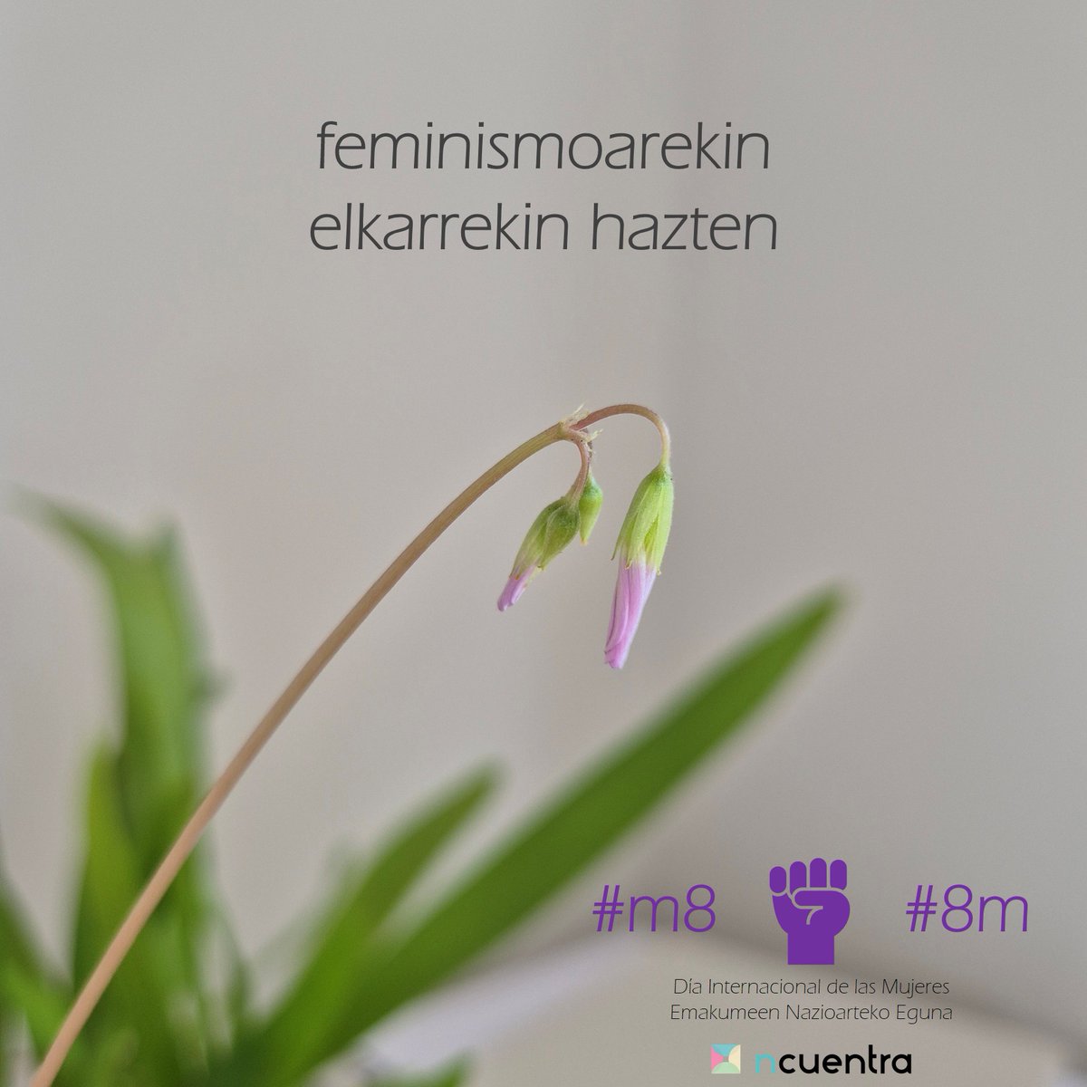 #Martxoak8 #8Marzo #EmakumeenNazioartekoEguna #DíaInternacionalDeLasMujeres 💜