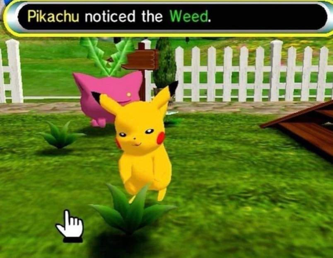 OoCPokemon's tweet image. 