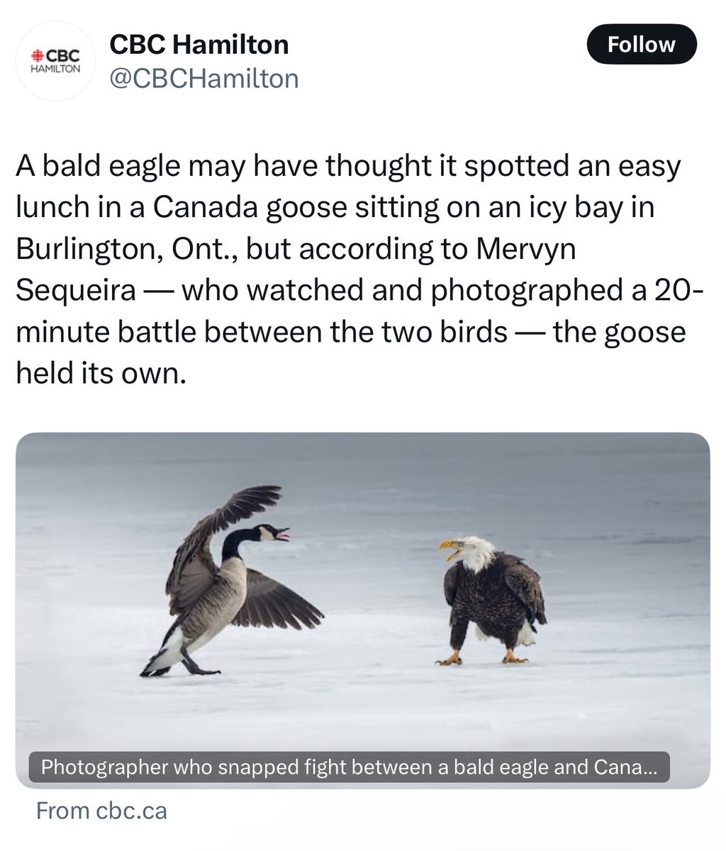 ArmandDoma's tweet image. this US-Canada trade war is getting out of hand
